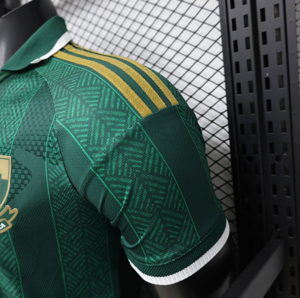 Maillot South Africa domicile 26/27
