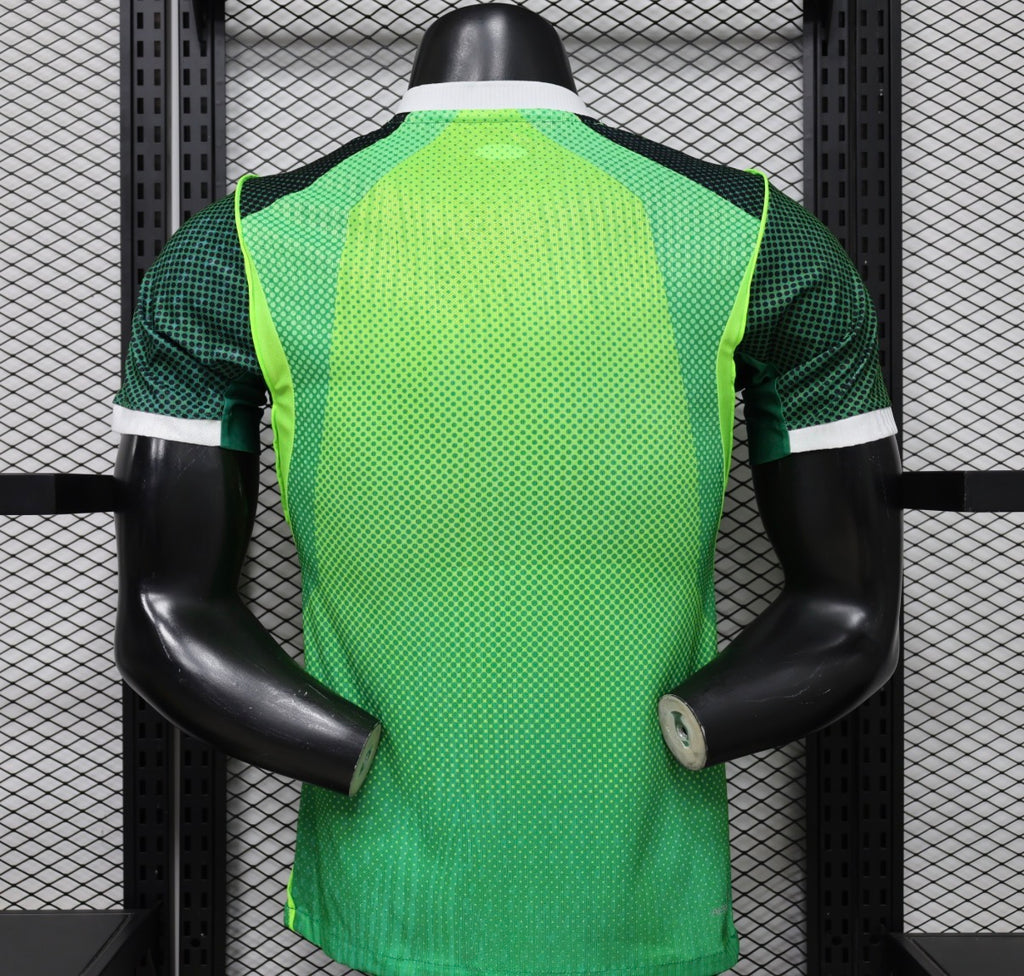 🇳🇬 Nigeria 2026 Domicile