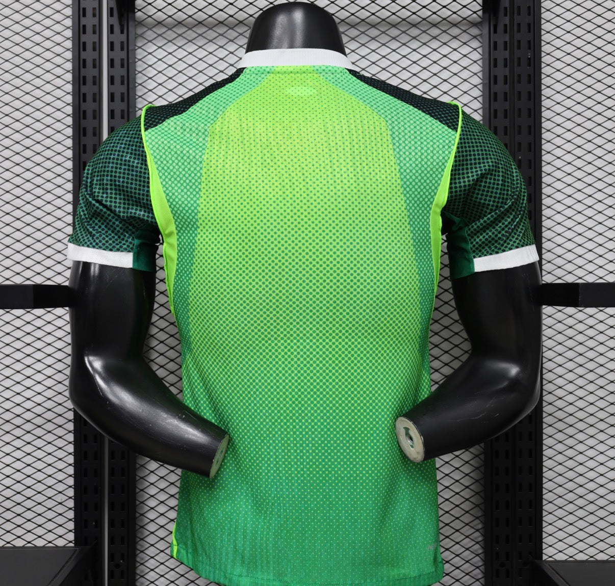 🇳🇬 Nigeria 2026 Domicile